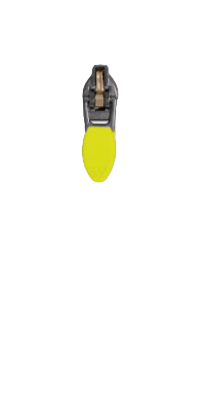 D29