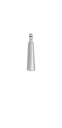 L31